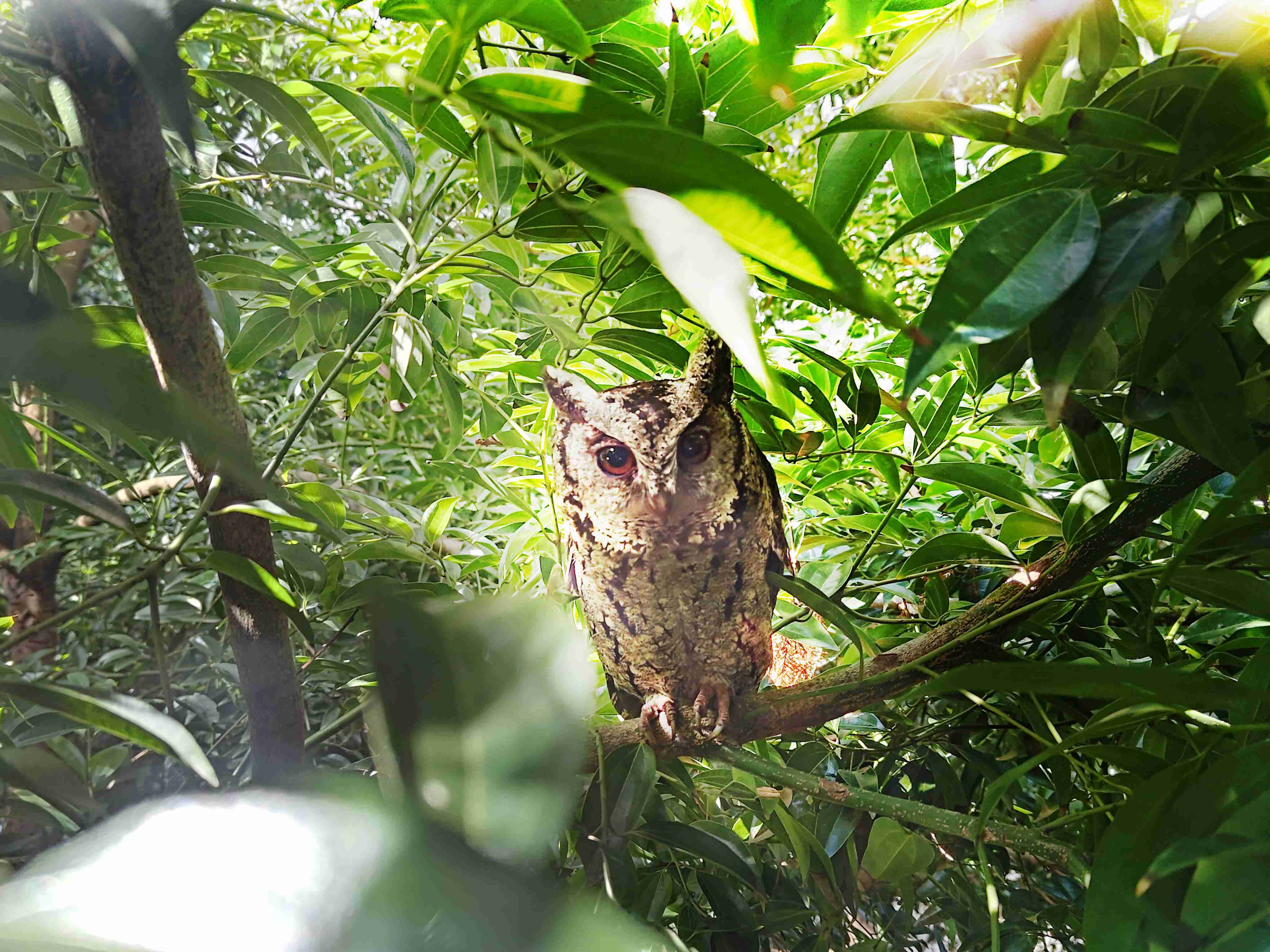 尊龙集团致力提倡净零绿生活，，，16年以来在全球各厂区植树逾百万棵，，，造就各厂区树木蔚然成林，，，犹如森林工厂，，，，成为许多生物的栖息地